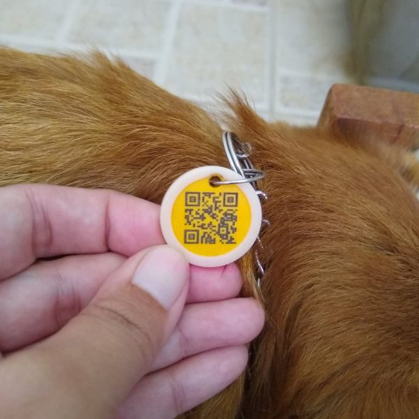 Microchips para perros y gatos peru (5)